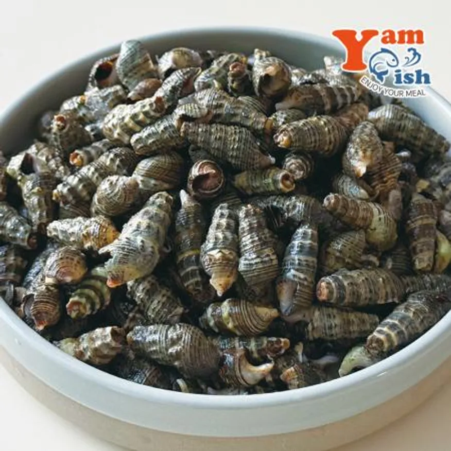 자숙 갯고동 다슬기 1kg 올갱이 자숙고동 바다고동 이미지