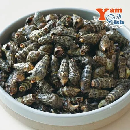 자숙 갯고동 다슬기 1kg 올갱이 자숙고동 바다고동 이미지