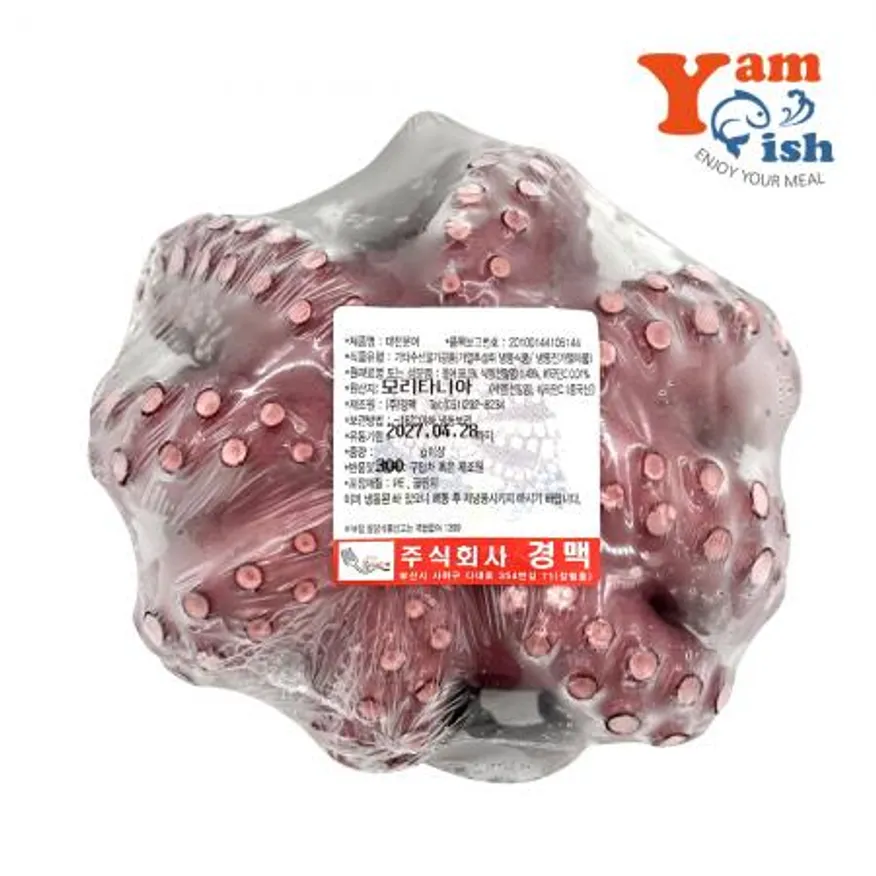 숙 모리타니아 돌문어 1kg-1.3kg 내외 이미지