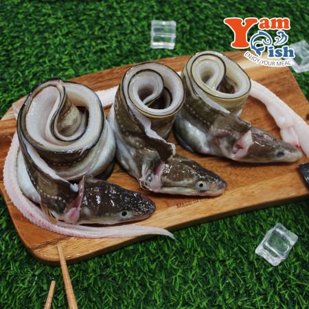 통영 바다장어 붕장어 1kg 4-5미 손질후 750g 내외 산지직송(머리뼈 무)