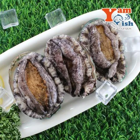 완도 활 전복 1kg 7미 특대 산소포장 이미지