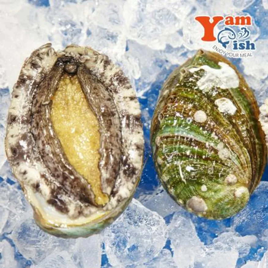 완도 활 전복 2kg (1kg 12미) 산소포장 이미지