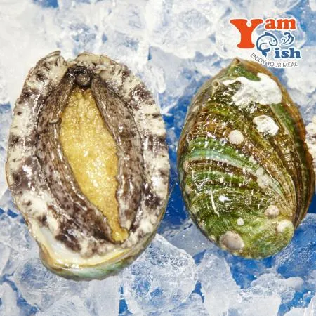 완도 활 전복 2kg (1kg 12미) 산소포장 이미지