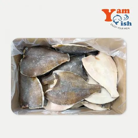 두절 손질 가자미 4.5kg 참가자미 납새미 납세미