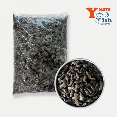 자숙 갯고동 다슬기 1kg 올갱이 자숙고동 바다고동