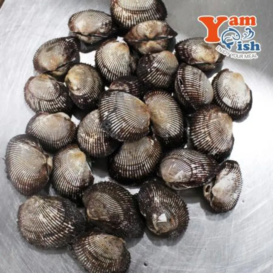국내산 제철 남해안 피꼬막 3kg 이미지