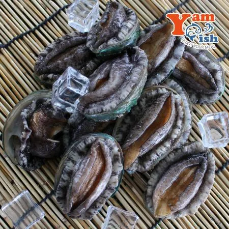 완도 활 전복 1kg 40미 이미지