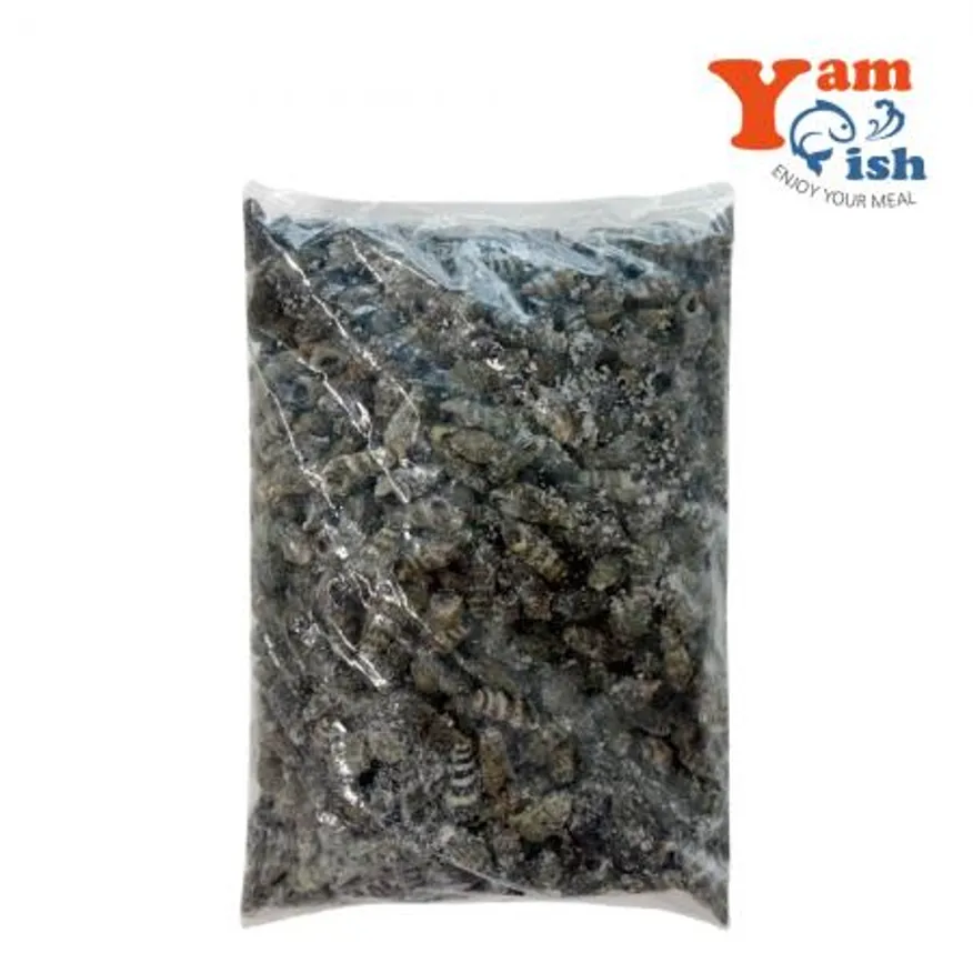 자숙 갯고동 다슬기 1kg 올갱이 자숙고동 바다고동 이미지