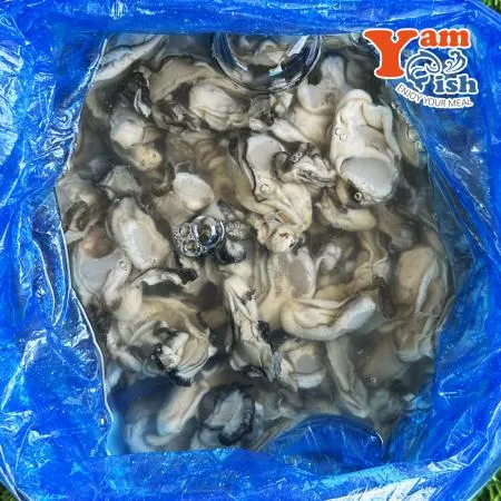 통영 굴 생굴 1kg 세척 알굴 이미지