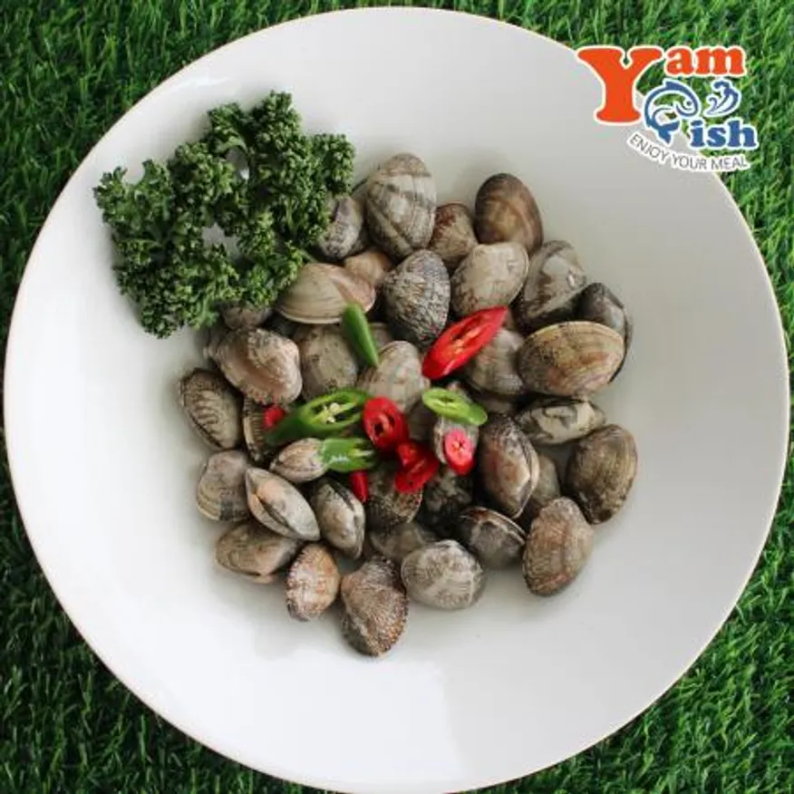 중국산 왕바지락 3kg 생물 산소포장 이미지