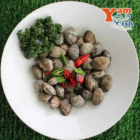 중국산 왕바지락 3kg 생물 산소포장 이미지