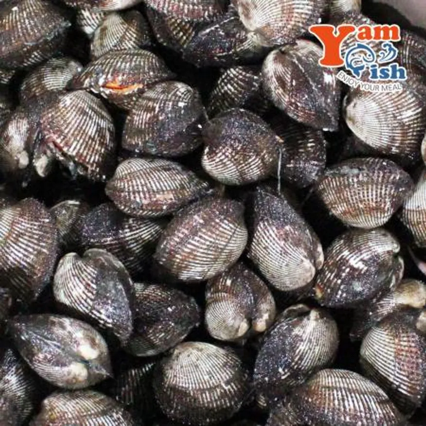 국내산 제철 남해안 피꼬막 3kg 이미지