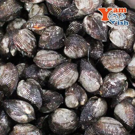 국내산 제철 남해안 피꼬막 3kg 이미지