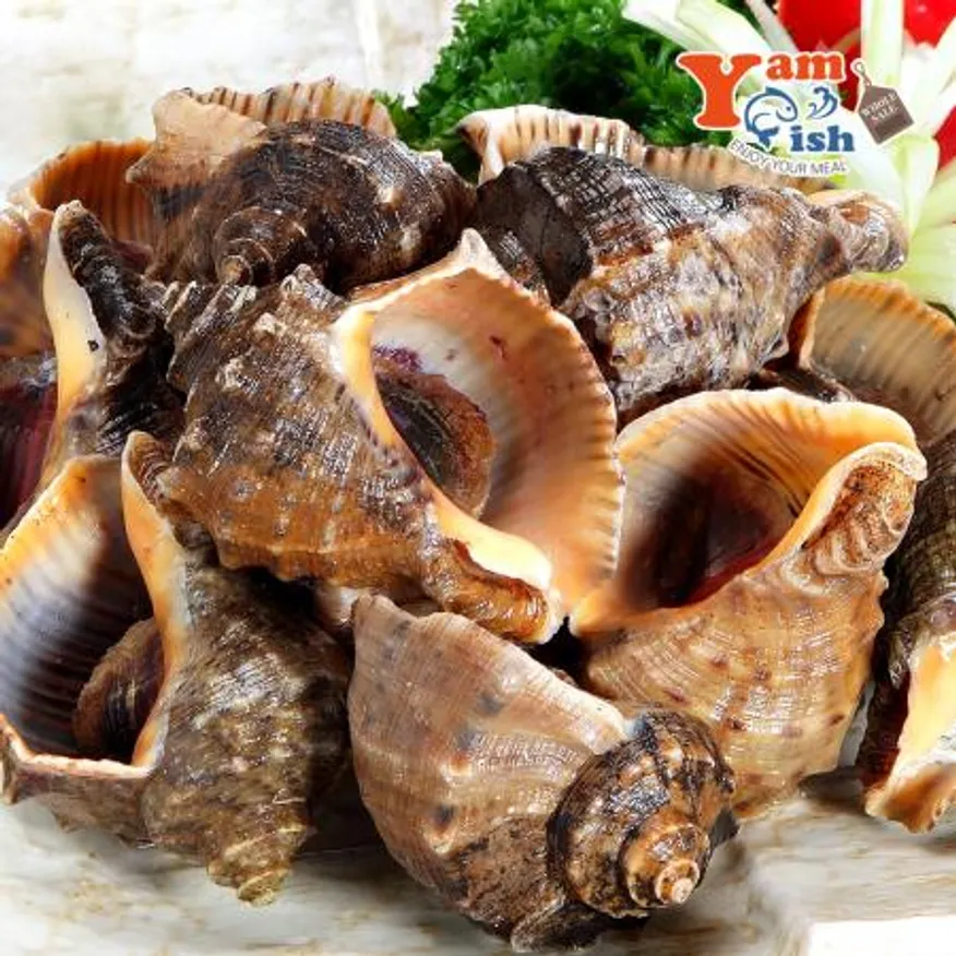 서해안 참소라 2kg 이미지