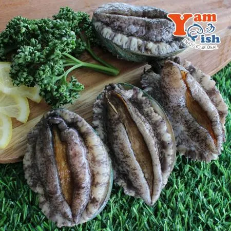 완도 활 전복 3kg 12미 이미지