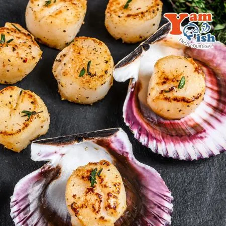 손질 성형 가리비관자 1kg 10/20 통관자 손질관자 개아지살 버터구이 이미지