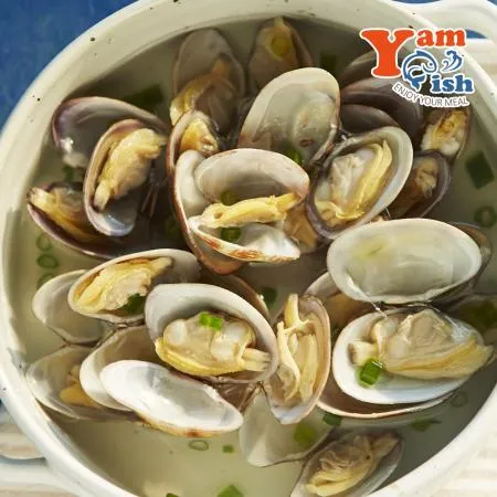 중국산 왕바지락 1kg 생물 이미지