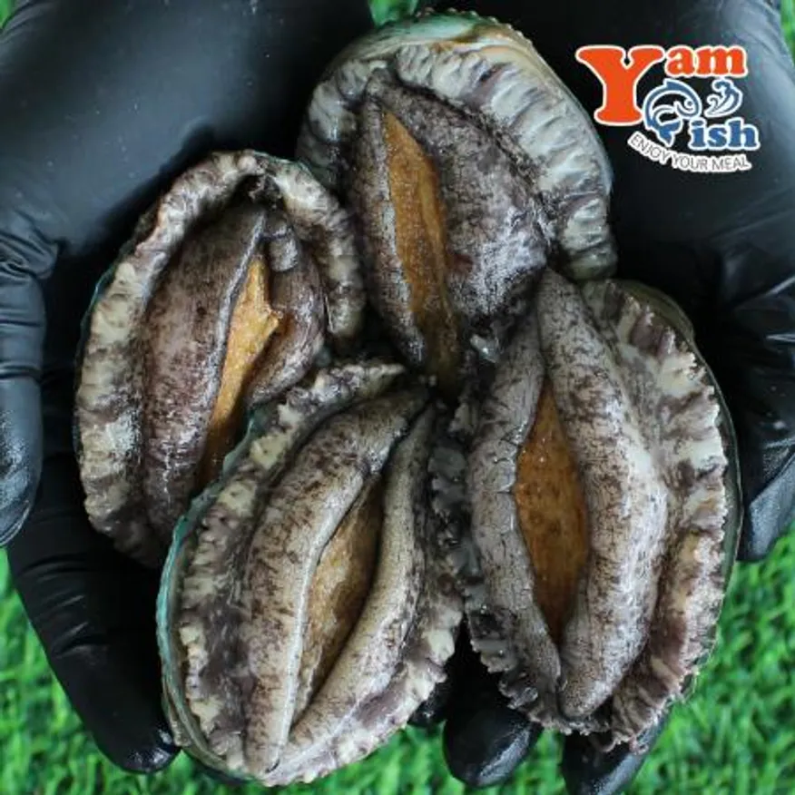 완도 활 전복 1kg 12미 이미지