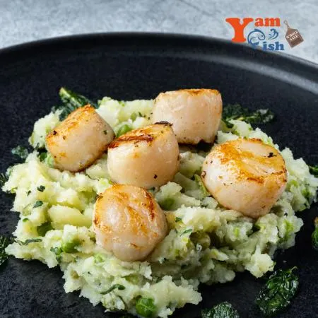 손질 성형 가리비관자 1kg 10/20 통관자 X 10개 이미지