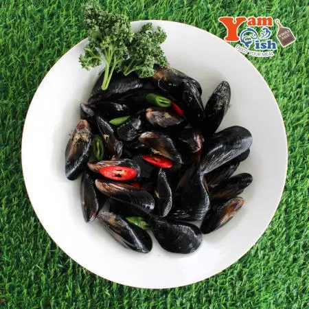 국내산 홍합 2kg 생물 이미지