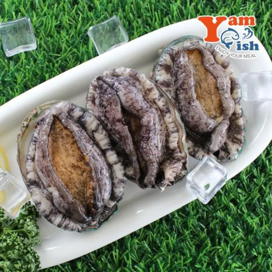 완도 활 전복 1kg 7미 특대 이미지