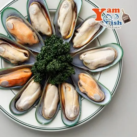 뉴질랜드 그린홍합 M 800g x 12개 반탈각 하프 이미지