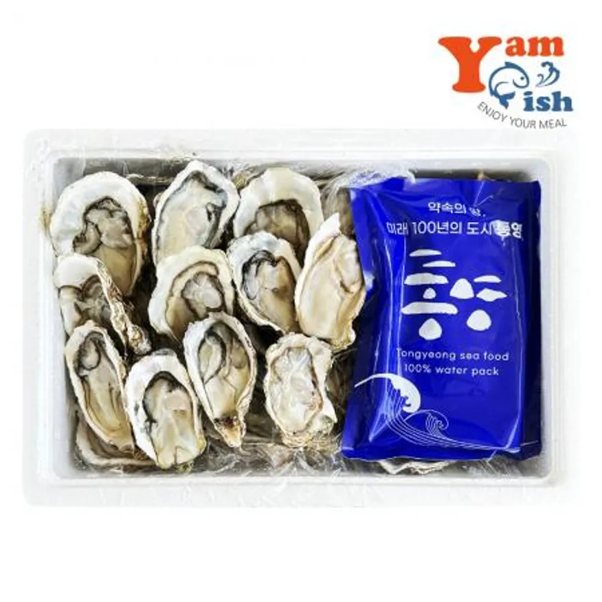 통영 굴 하프쉘 30미 내외 석화 반각굴 생굴회 이미지