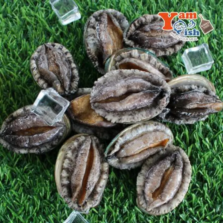 완도 활 전복 3kg (1kg 30미) 이미지