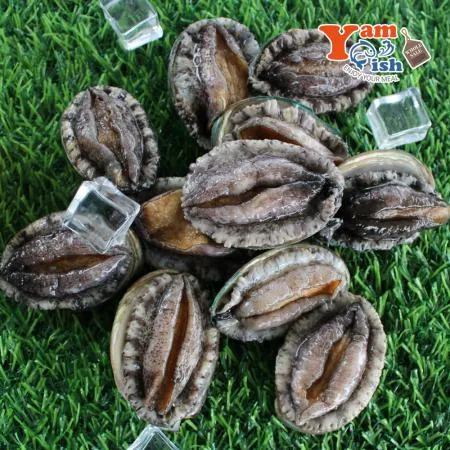 완도 활 전복 3kg (1kg 30미) 이미지