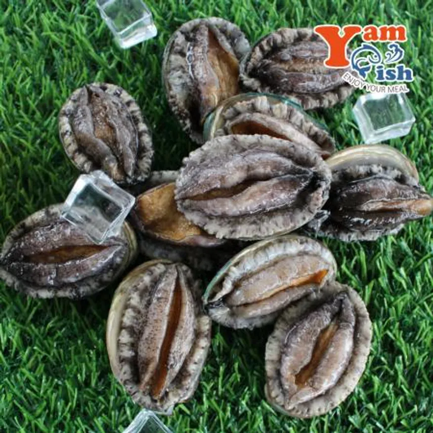 완도 활 전복 1kg 30미 이미지