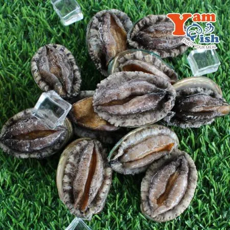 완도 활 전복 1kg 30미 이미지