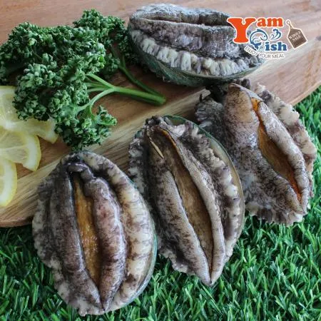 완도 활 전복 3kg (1kg 12미)