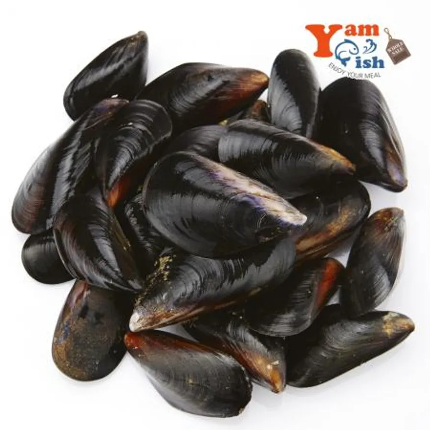 국내산 홍합 3kg 생물 이미지