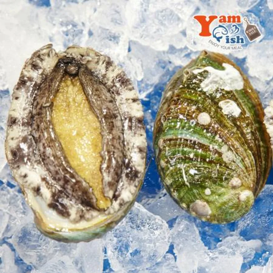 완도 활 전복 2kg (1kg 12미) 이미지