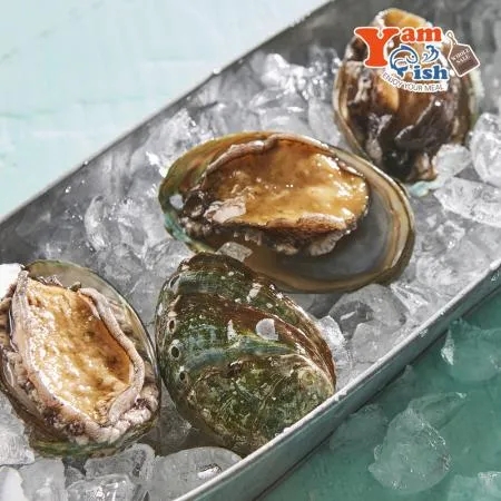 완도 활 전복 1kg 10미 이미지