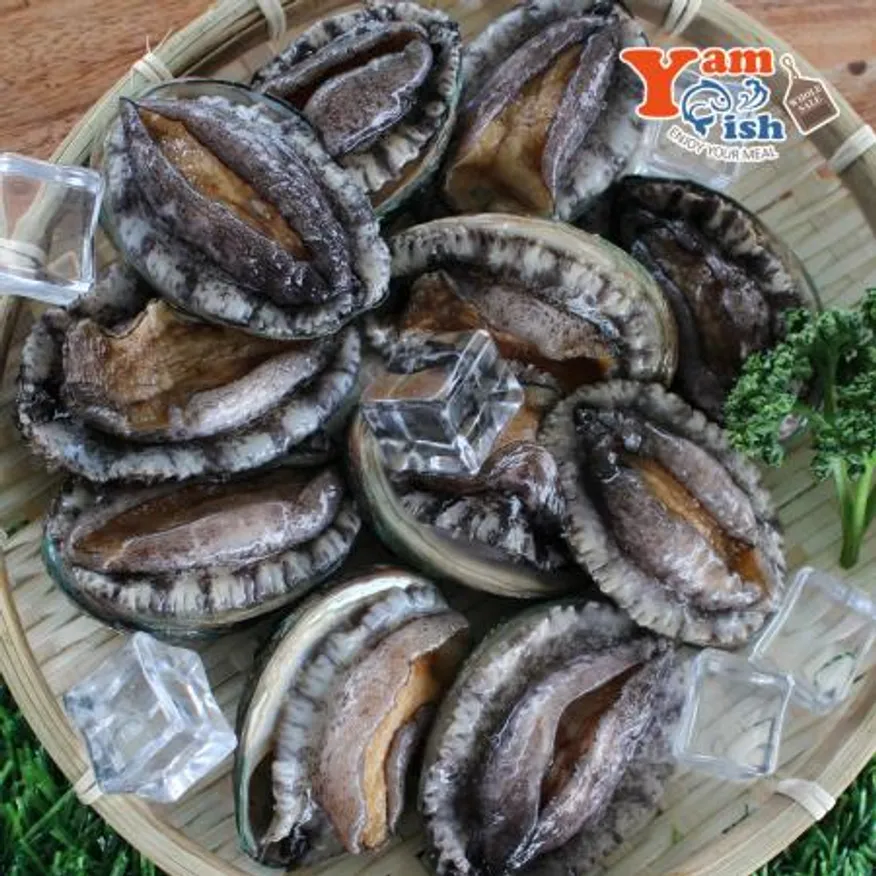 완도 활 전복 1kg 20미 이미지