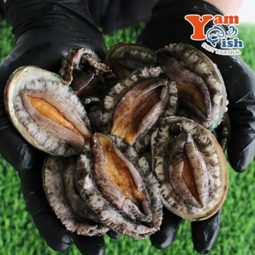 완도 활 전복 1kg 30미 이미지