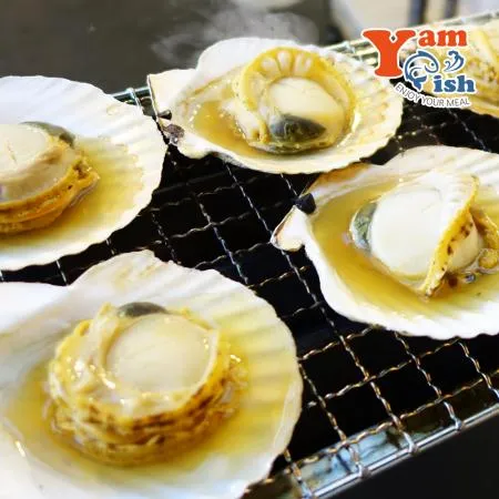 통영 홍가리비 3kg 이미지