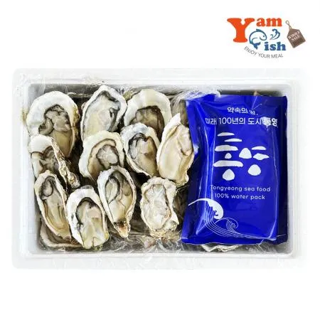 통영 프리미엄 삼배체굴 하프쉘 12-13미 석화 각굴 이미지