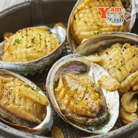 완도 활 전복 1kg 20미 이미지