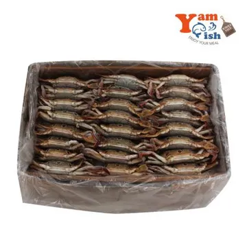 삼점게 점박이꽃게 숫게 6kg 100-150사이즈