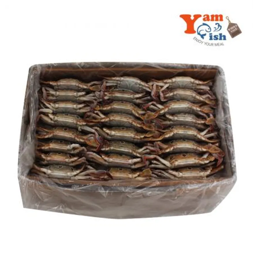 삼점게 점박이꽃게 숫게 6kg 100-150사이즈 이미지