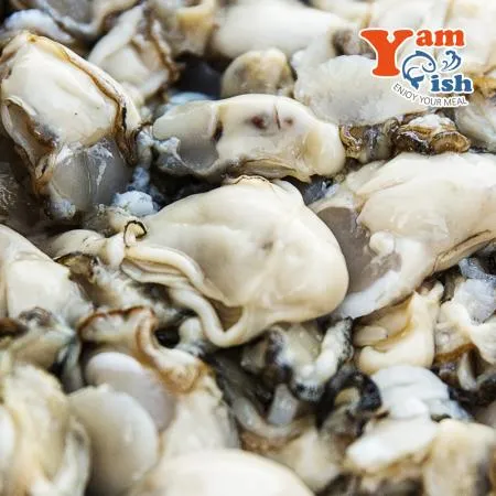 통영 굴 생굴 1kg 세척 알굴 이미지