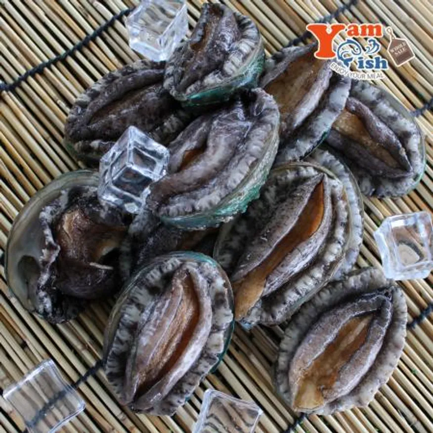 완도 활 전복 3kg (1kg 30미) 이미지