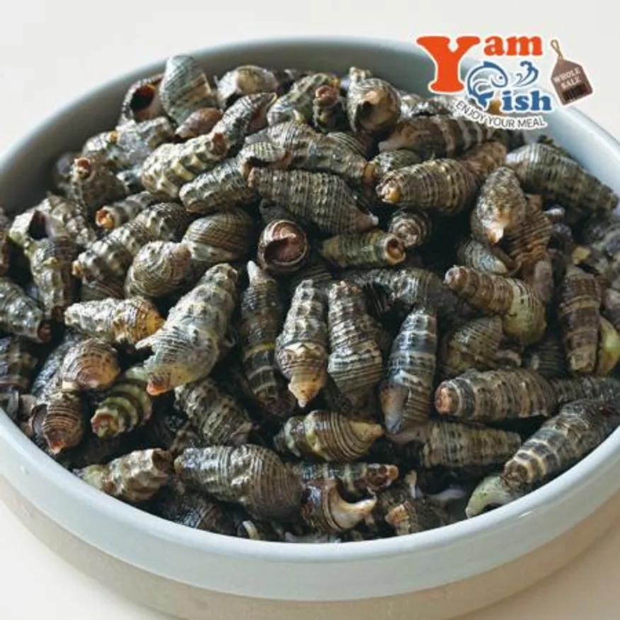 자숙 갯고동 다슬기 1kg X 10개 이미지