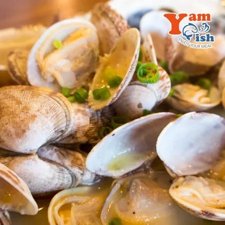 중국산 왕바지락 1kg 생물 이미지