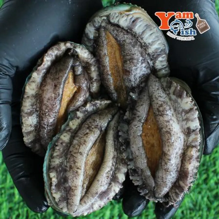 완도 활 전복 1kg 20미 이미지