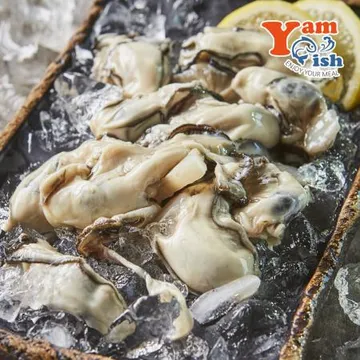 통영 굴 생굴 1kg 세척 알굴