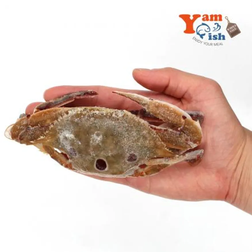 삼점게 점박이꽃게 숫게 6kg 100-150사이즈 이미지