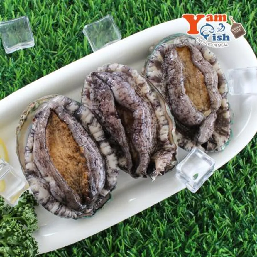 완도 활 전복 2kg (1kg 7미) 특대 이미지
